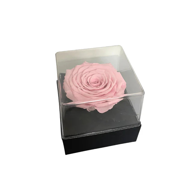 CAJA DE REGALO ACRILICA - CON ROSA PINK