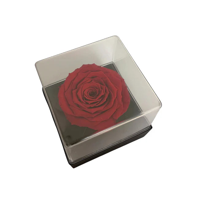 CAJA DE REGALO ACRILICA - CON ROSA ROJA