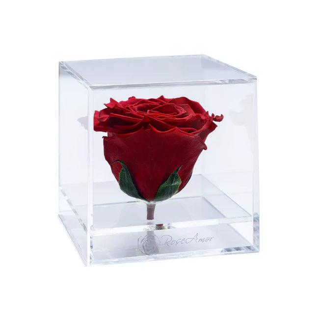 CUBO ACRÍLICO - CON ROSA ROJA 02