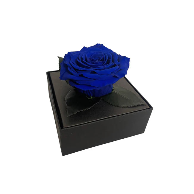 CAJA DE REGALO ACRILICA - CON ROSA BLUE