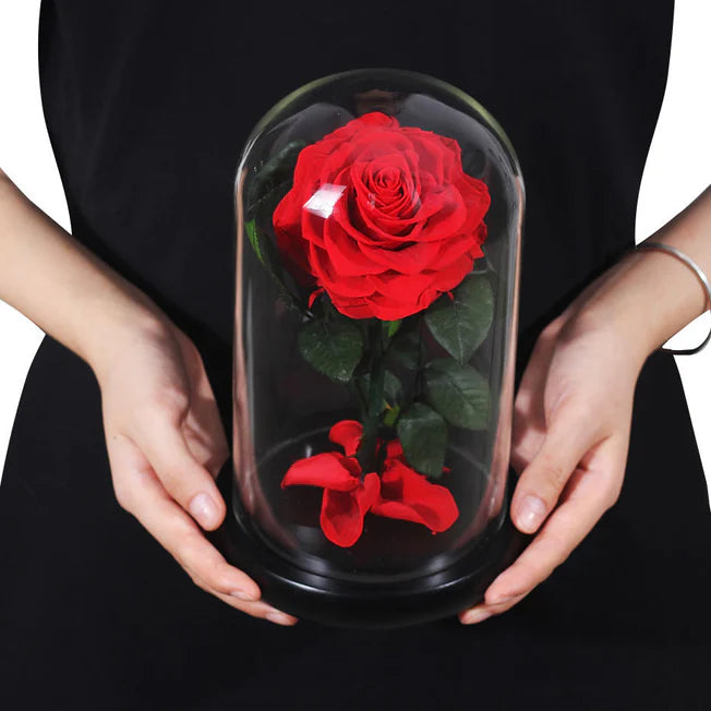 ROSA EN CÚPULA DE CRISTAL - INSPIRACION DE "LA BELLA Y LA BESTIA"