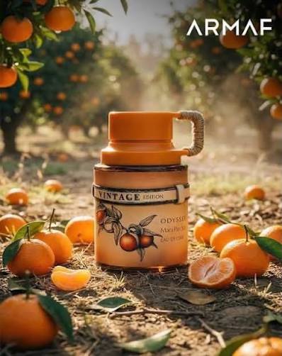 ODISSEY VINTAGE BY ARMAF - 100ML